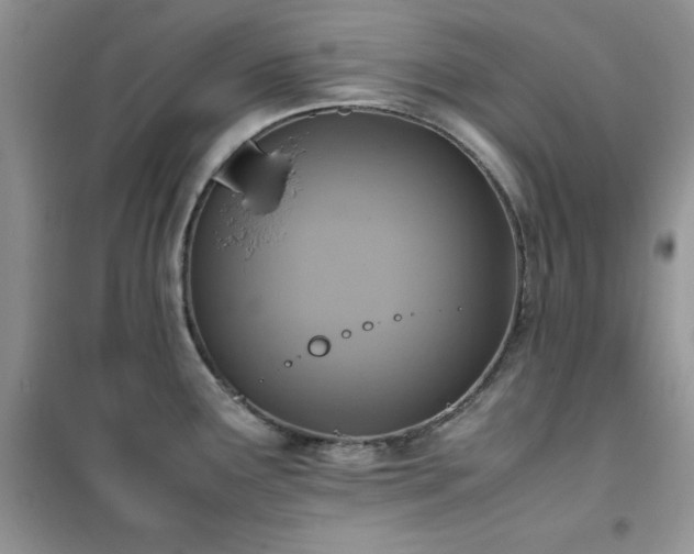 X0000102391291200808011551