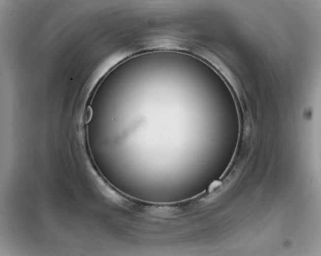 X0000102391293200808011551