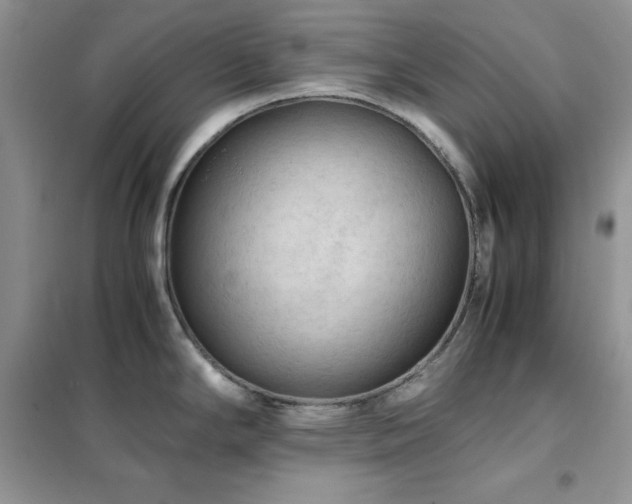 X0000102391294200808011551