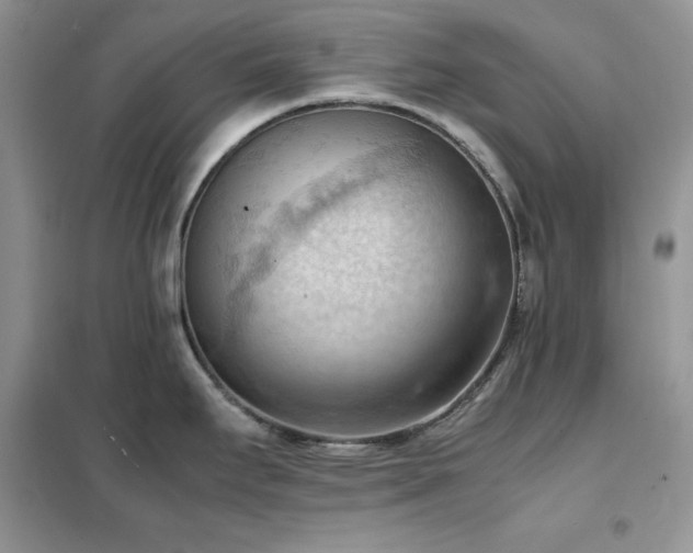 X0000102391295200808011551