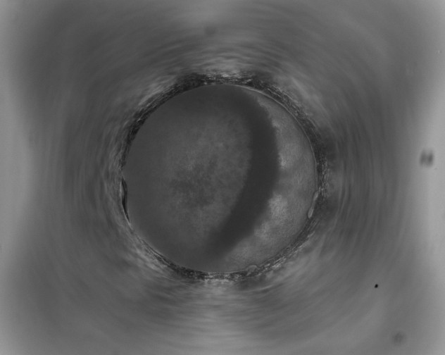 X0000102391297200808011550