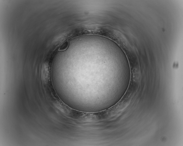 X0000102391298200808011550