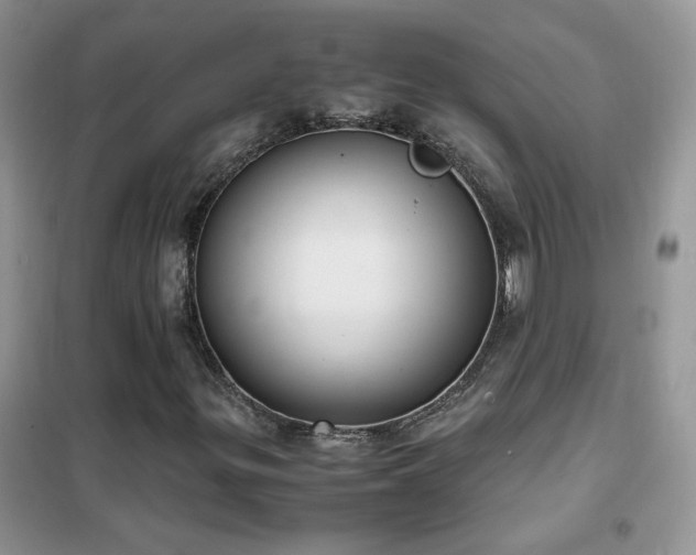 X0000102391299200808011550