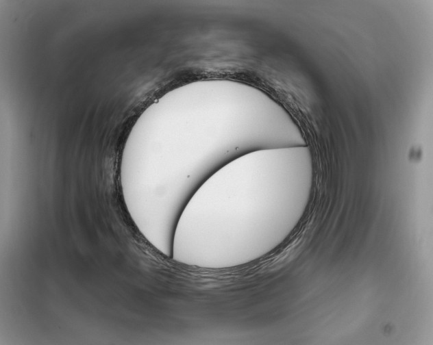 X0000102391300200808011550