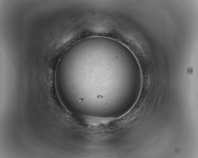 X0000102391301200808011550