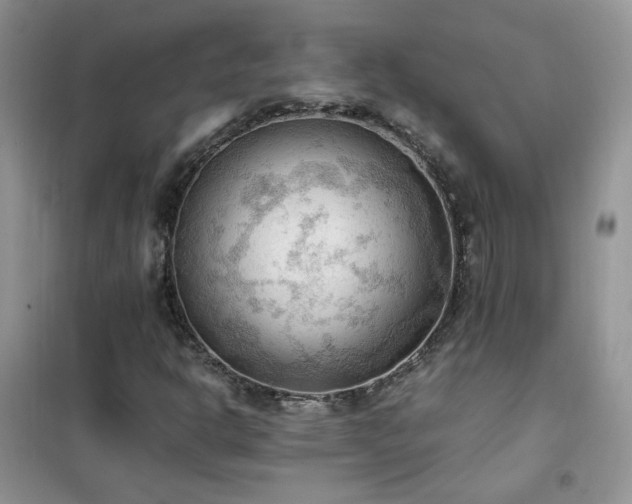 X0000102391302200808011550