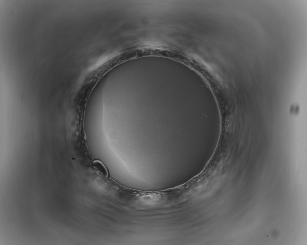 X0000102391303200808011550