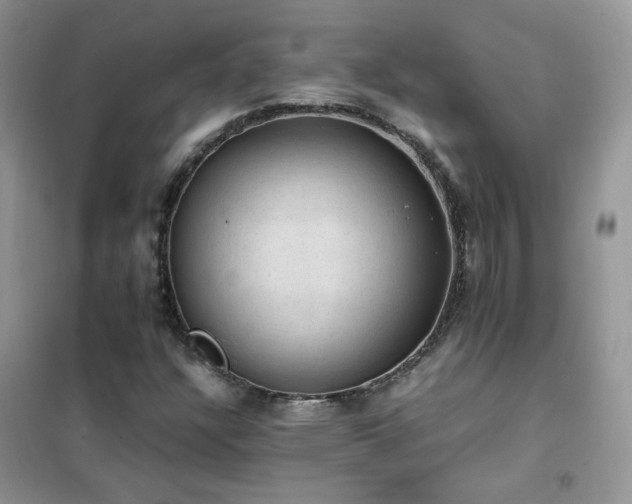 X0000102391304200808011550