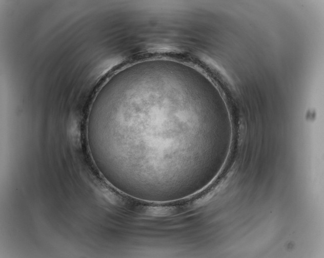 X0000102391305200808011550