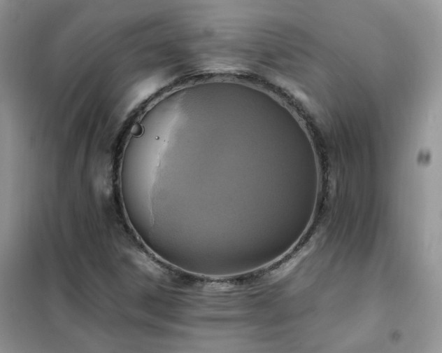 X0000102391306200808011550