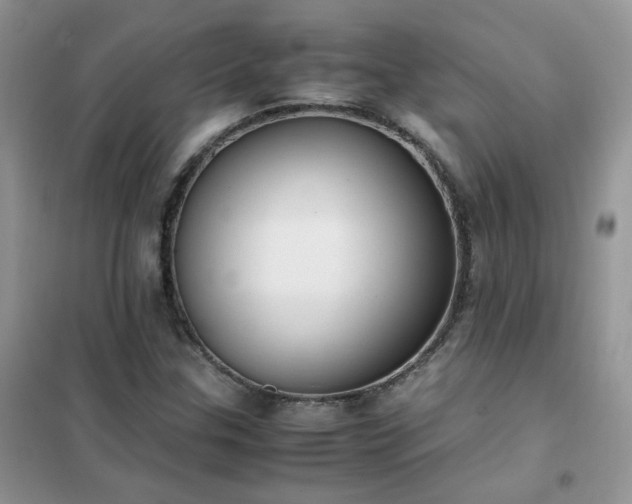 X0000102391307200808011550