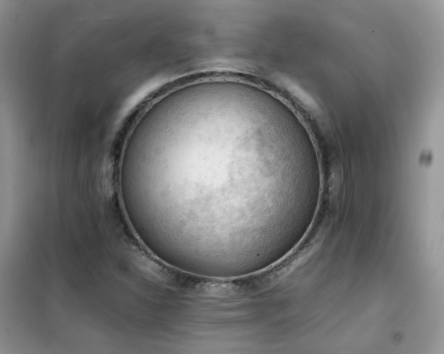 X0000102391310200808011551