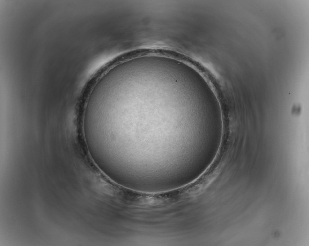 X0000102391311200808011551