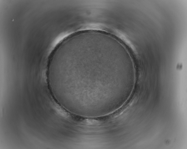 X0000102391312200808011551