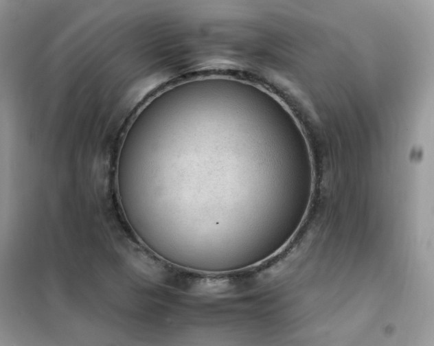 X0000102391313200808011551