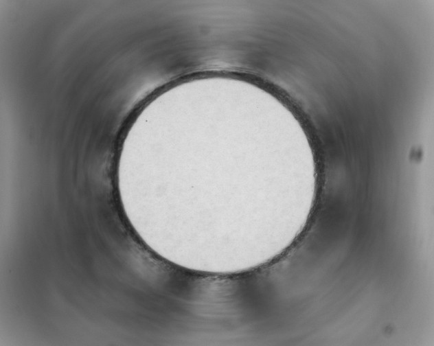 X0000102391314200808011551