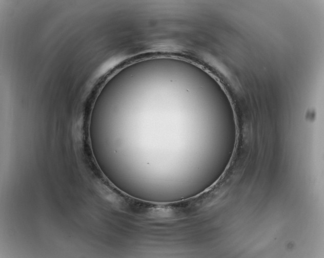 X0000102391315200808011551