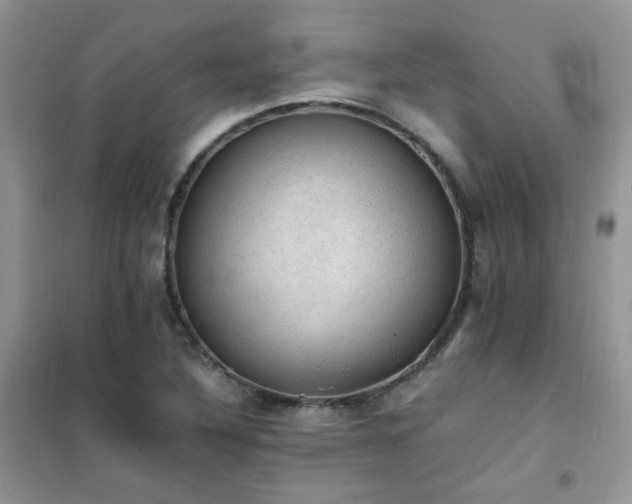 X0000102391316200808011551