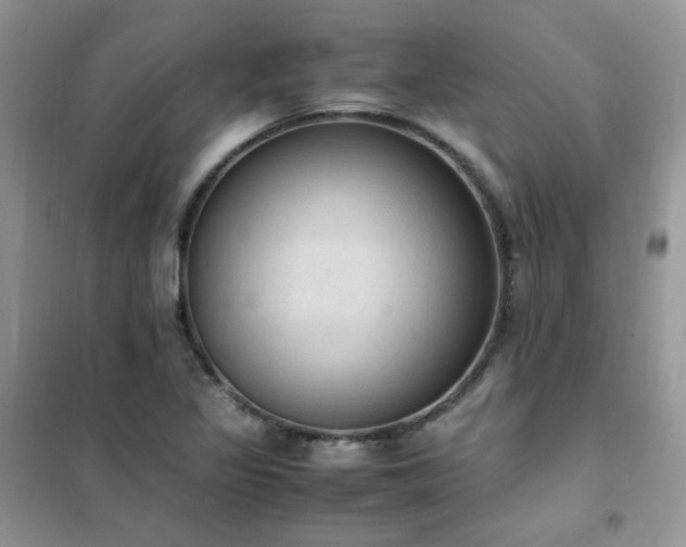 X0000102391317200808011551