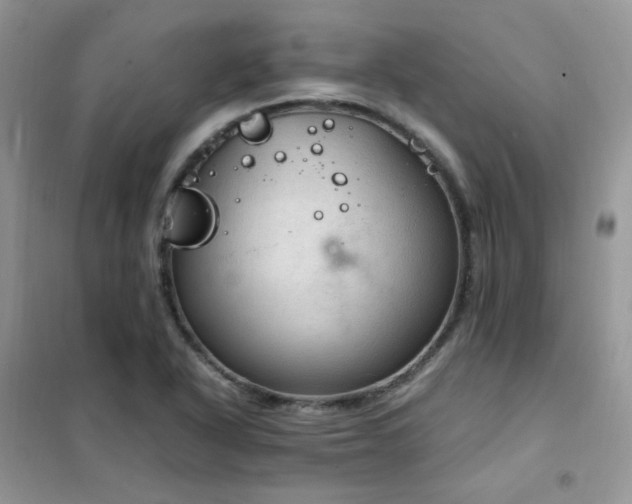 X0000102391318200808011551