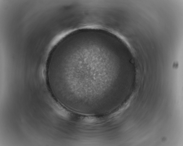 X0000102391319200808011551