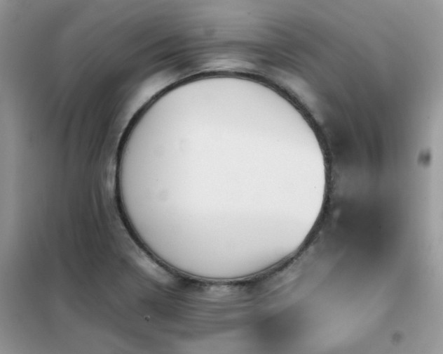 X0000102391322200808011551