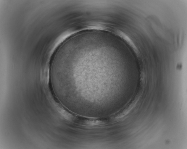 X0000102391323200808011551