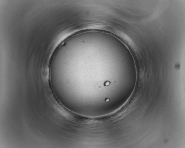 X0000102391324200808011551