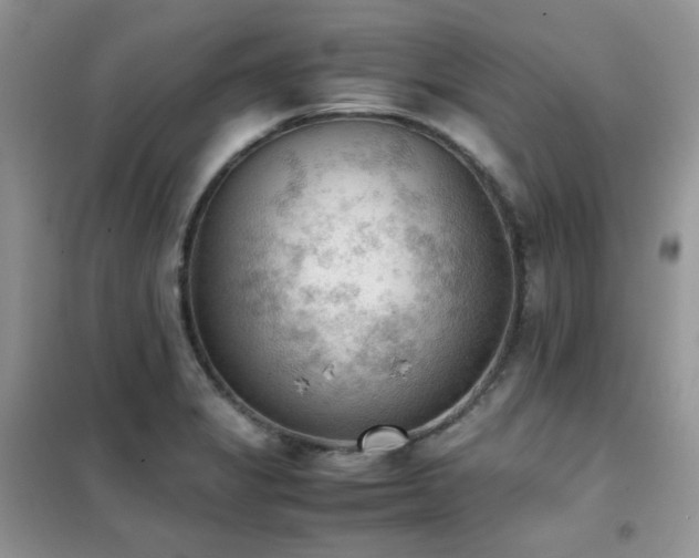 X0000102391325200808011551