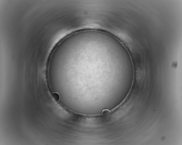 X0000102391326200808011551