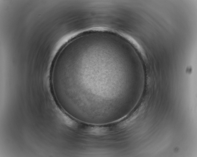 X0000102391327200808011551