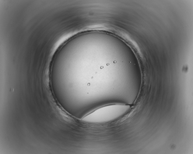 X0000102391328200808011551