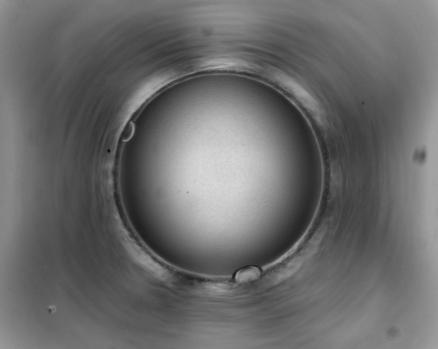 X0000102391330200808011551