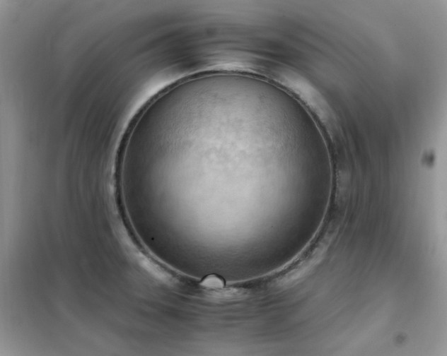 X0000102391331200808011551