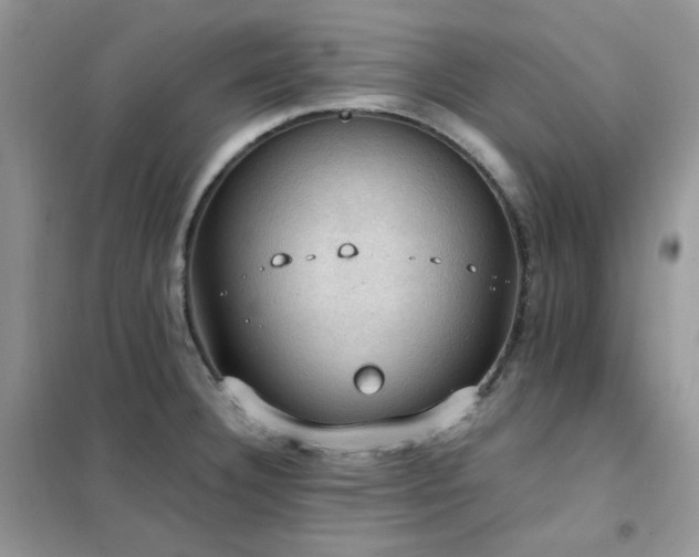 X0000102391332200808011551