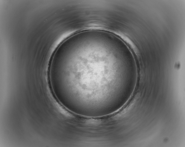 X0000102391333200808011551