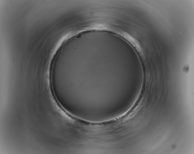 X0000102391334200808011551