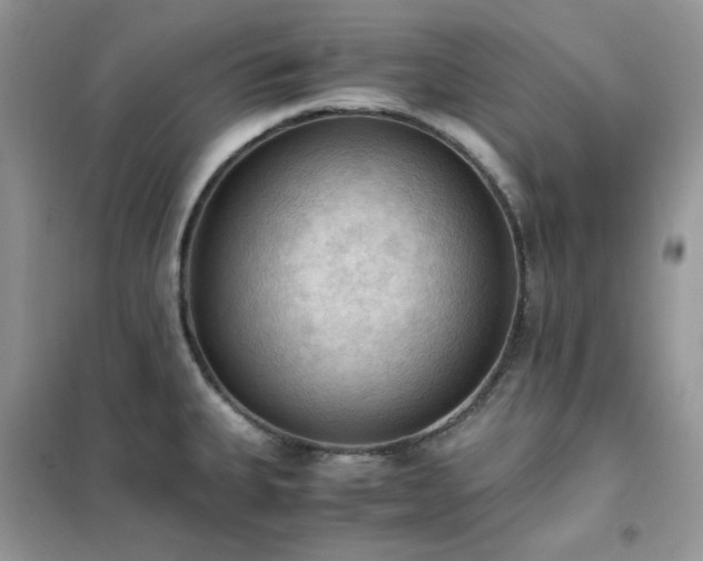 X0000102391335200808011551