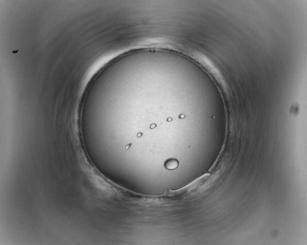 X0000102391336200808011551