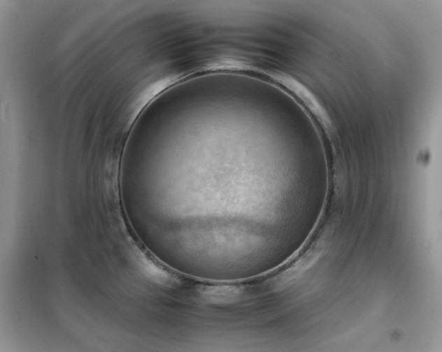 X0000102391337200808011551