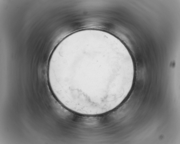 X0000102391338200808011551