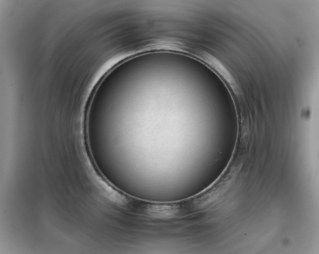 X0000102391339200808011551