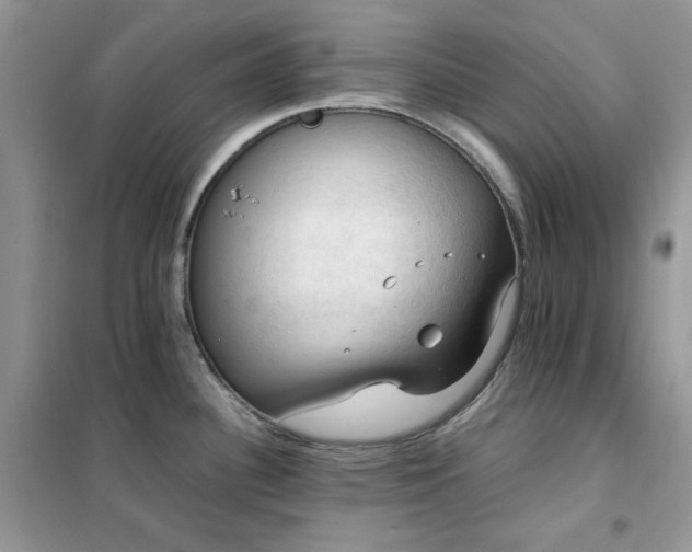 X0000102391340200808011551