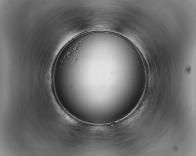 X0000102391341200808011551