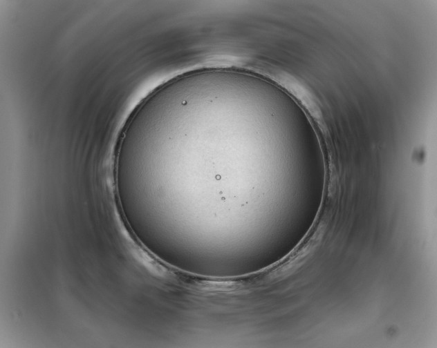 X0000102391342200808011551