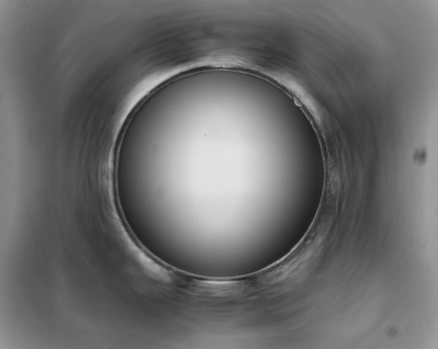 X0000102391343200808011551