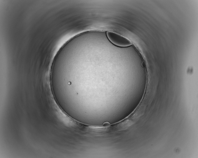 X0000102391344200808011551