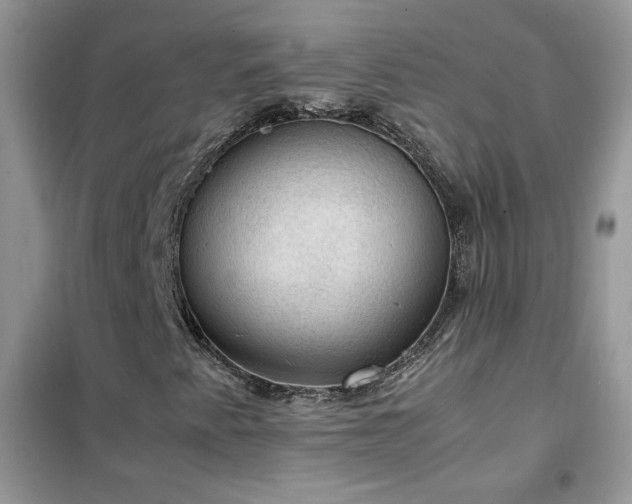 X0000102391345200808011550