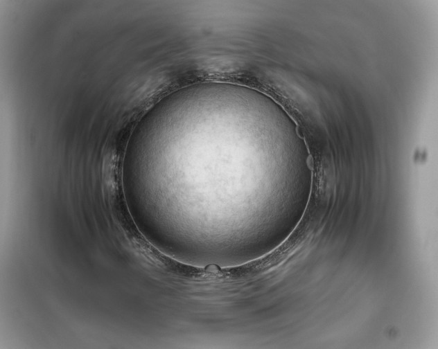 X0000102391346200808011550