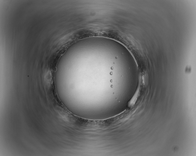 X0000102391347200808011550